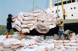 Phấn đấu đạt 50% sản lượng gạo xuất khẩu mang thương hiệu Việt Nam.
